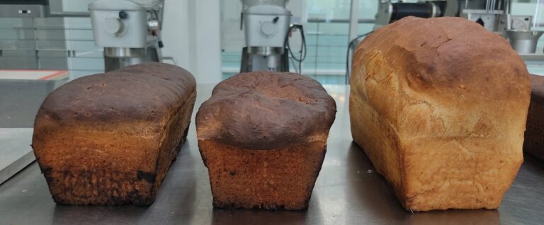 Investigadora del Tec de Monterrey propone pan con insectos de alto valor nutricional para combatir crisis alimentaria