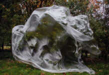 Desde el regazo de un pájaro, nuevo núcleo de Genealogías y disidencias. Colección MUAC