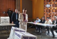 El mensaje político detrás de la baja participación en la elección judicial