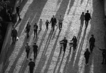 Leales vs. forasteros