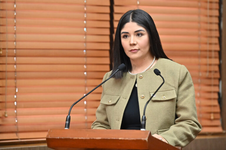 Propone GPPAN en el Estado de México que el Estado vele por el interés superior de la familia