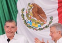 ¿Qué pasó con los “hermanos políticos”?