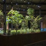 Chinampa Veneta: Diálogo entre arquitectura, ecología y territorio en el Palacio de Bellas Artes