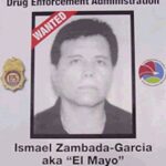 México Exige a «El Mayo» Zambada; Litchman le contesta que lo tuvieron a la mano durante 50 años