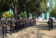 Seguridad Municipal: Un Enfoque Local Necesario