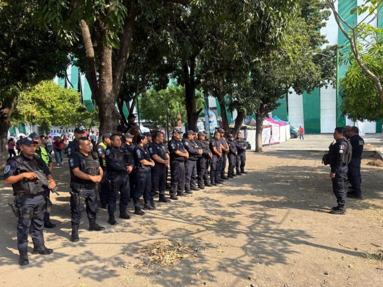 Seguridad Municipal: Un Enfoque Local Necesario
