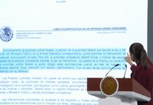 Ineptitud o mala fe