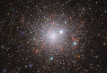 Sabías que… ¿Hay fósiles en el espacio?