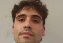 Escándalo Revelado: El Acuerdo de Ovidio Enciende Tormenta