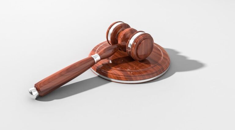 «Cooptación electoral y captura institucional», reporta informe «Elección Judicial 2025»