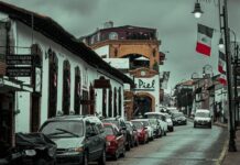 Freno en la Venta de Autos en México