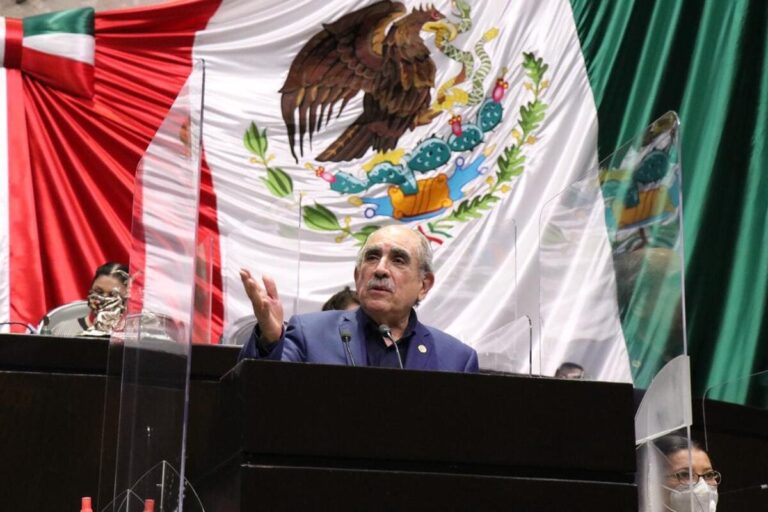 ¿Reforma Electoral Aprobada por el Pueblo?
