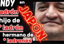 El Príncipe Andy, ladrón, hijo y hermano de ladrones, pasó del Río Puyacatengo gratis a Japón millonario