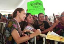 CSP-1: el Estado, la economía, el bienestar y el desarrollo