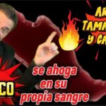 Cancún y Tamaulipas arrodilladas por el crimen organizado que controla al país, mientras Morena y la 4T chupan sangre