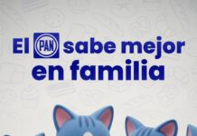 El PAN busca recuperar la confianza ciudadana, bloqueando usuarios en redes