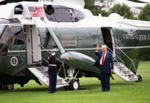 Trump apunta a cárteles del extranjero, pero ignora a los de casa