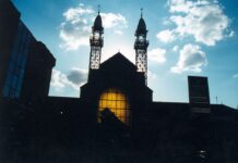 Era un árbol y se convirtió en un bosque. 50 años del Museo Universitario del Chopo Exposición