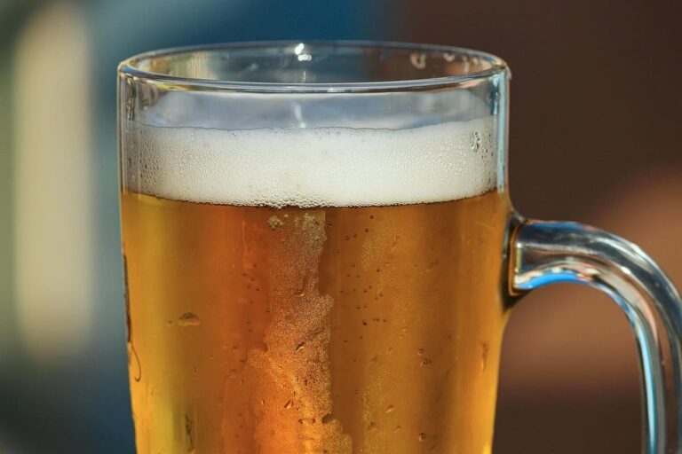 Sabías que el 2 de agosto se celebra el Día Mundial de la Cerveza