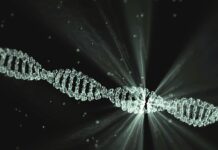 Sabías que descubrieron como prevenir el Síndrome de Down