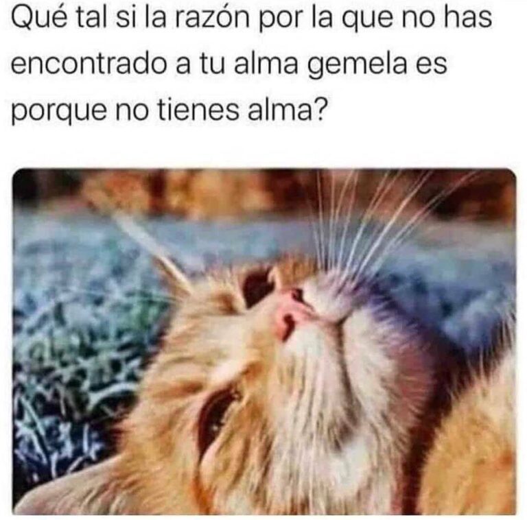 El Meme