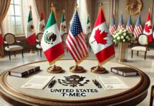 Rubio en México: ¿T-MEC en riesgo?