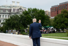 Trump: Caída Libre, Aranceles y Escándalo