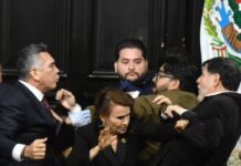 El pleito senatorial: la verdad está en los videos