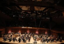 Ofrece OFUNAM concierto gratuito en Las Islas de Ciudad Universitaria