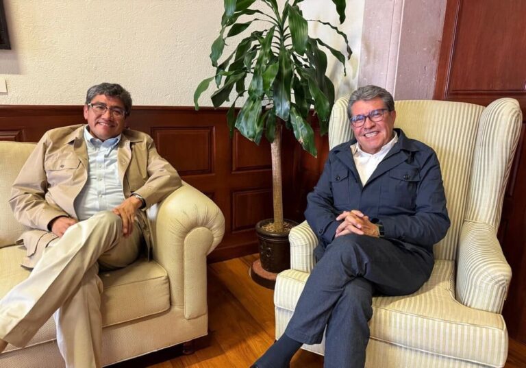 Los hermanitos Monreal