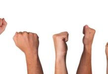 ¿Narcopactos Rotos en Morena?