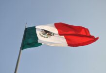 La Economía Mexicana ante la Incertidumbre Política