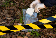 Inseguridad Dispara Preocupación Ciudadana en México