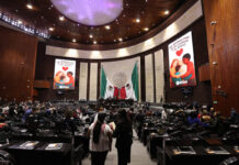 Circense o Crítico: Prioridades de los Legisladores
