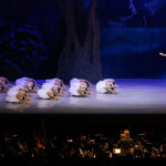 La Compañía Nacional de Danza triunfa en el Auditorio Nacional con “Lago de los Cisnes”