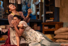 La danza que sueña la tortuga, universo doméstico que respira poesía