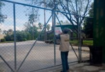 Avanza zoológico La Pastora con cumplimiento de medidas correctivas