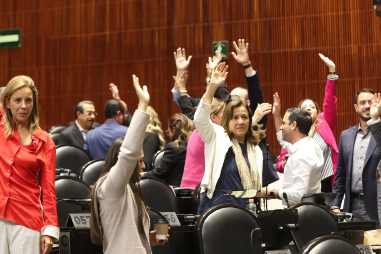Desde la Cámara de Diputados: semana de retrocesos y más cargas