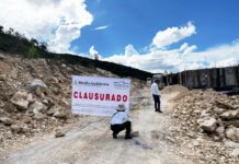 Profepa coordina operativo de inspección a aserraderos en las 32 entidades