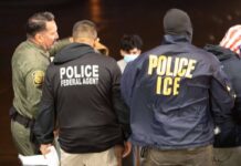 Caída Récord de Detenciones en la Frontera