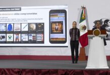 Segalmex Podrido: Sheinbaum Rompe el Silencio