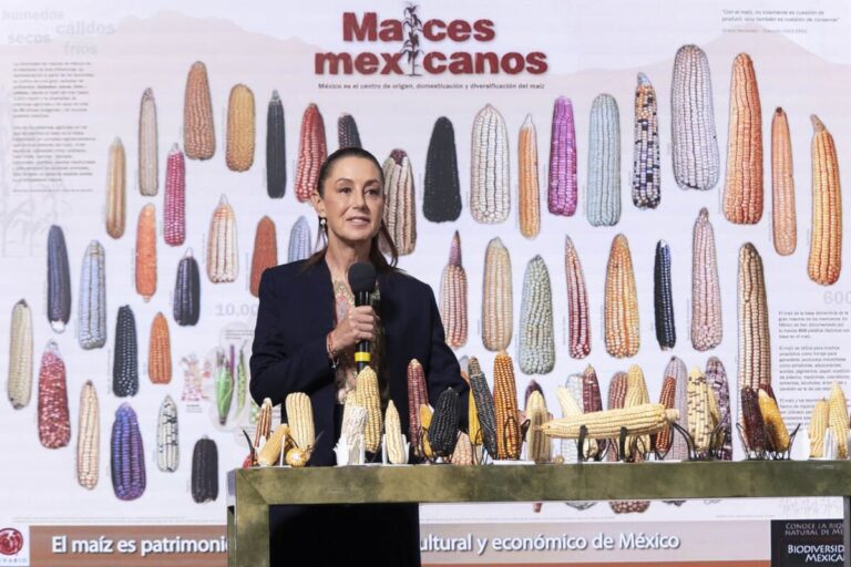 El Claudismo Emerge: ¿Nuevo Caudillismo o Continuidad?
