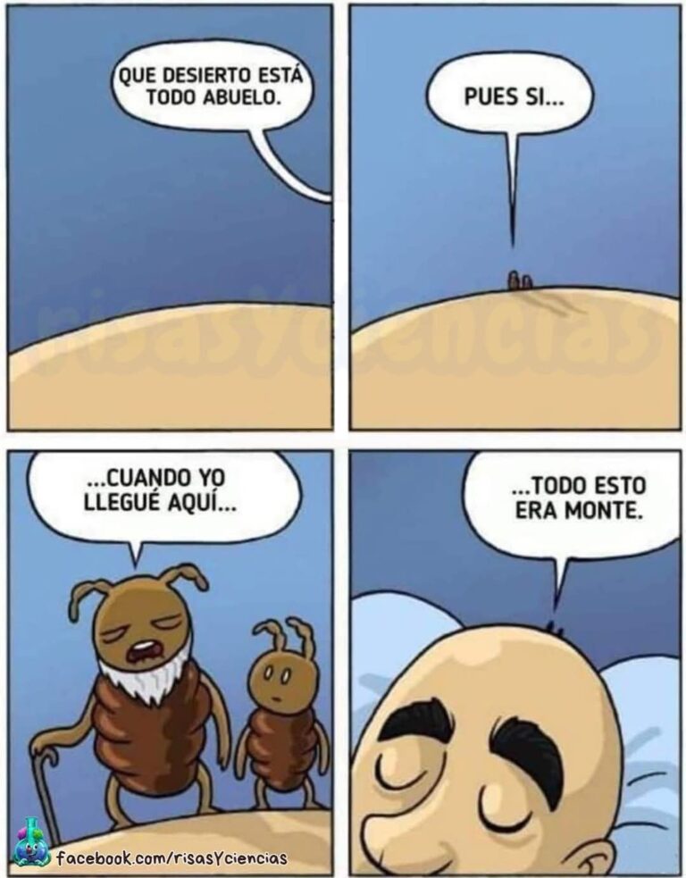 El Meme