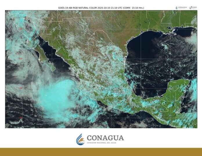 WhatsApp Image 2025-10-10 at 16.14.03 (1)