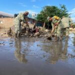 El quid del desastre: la tragedia humana
