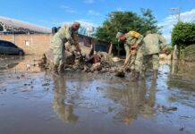 El quid del desastre: la tragedia humana