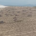 WhatsApp Image 2025-10-20 at 13.36.06 (1)