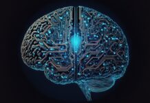 Cada dos segundos alguien sufre un infarto cerebral