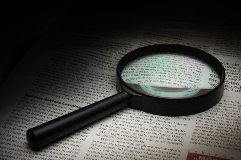 Los observadores electorales: ¿Funcionan? ¿Funcionaron?