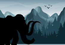 Sabías Que… Los Mamuts Coexistieron con las Pirámides de Egipto